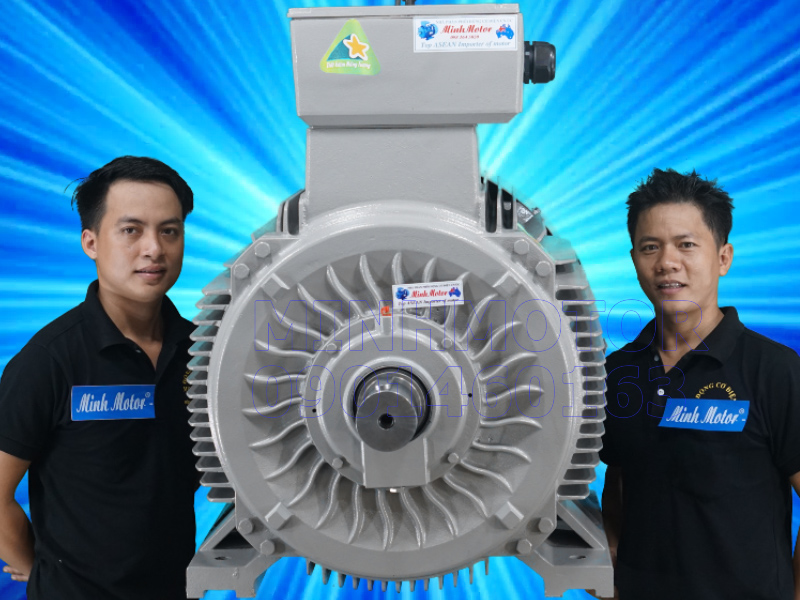 Động cơ điện - Công Ty TNHH Minh Motor